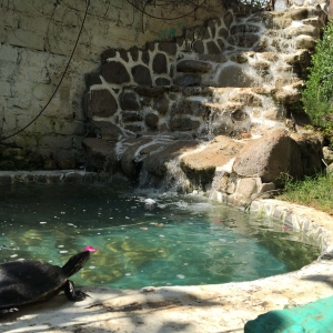  - jalisco, drogadicci&oacute;n