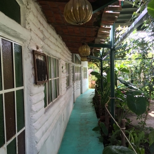  - vivir libremente, vive en armonia