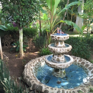  - terapia, alcoholismo