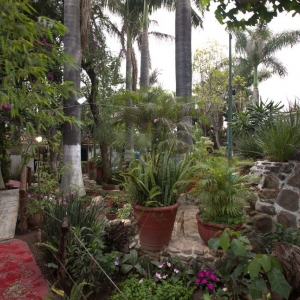  - actividades que nutren el esp&iacute;ritu,