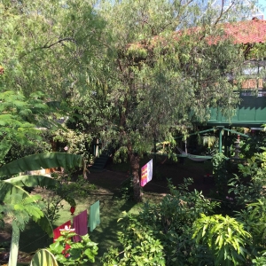  - vivir libremente, jaguar