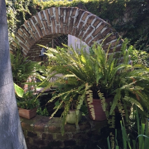  - zapopan, vive en armonia