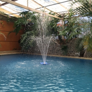  - vivir libremente,zapopan