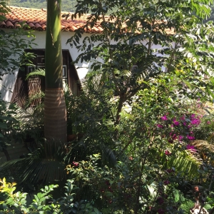  - ayuda contra adicciones,mexico