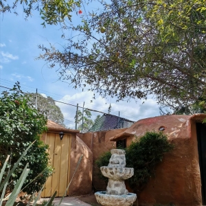  - salud mental,tlajomulco