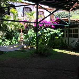  - vive en armonia, grupos de apoyo