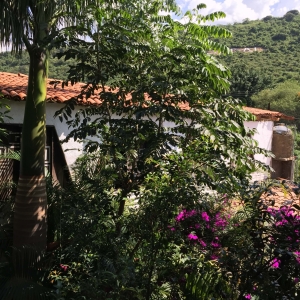  - drogadicci&oacute;n,mexico