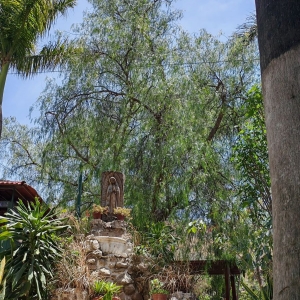  - ayuda contra adicciones, drogadicci&oacute;n