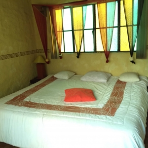  - depresion, jalisco