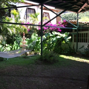  - jaguar, vivir libremente