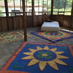  - grupos de apoyo,jalisco