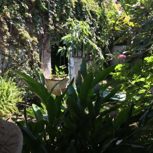  - jalisco, alcoholismo