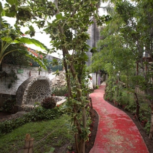  - anorexia, alcoholismo