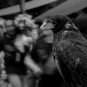  - vive en armonia, ayuda contra adicciones