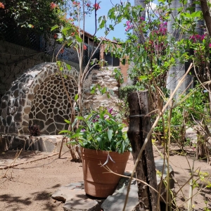  - jalisco, m&eacute;xico