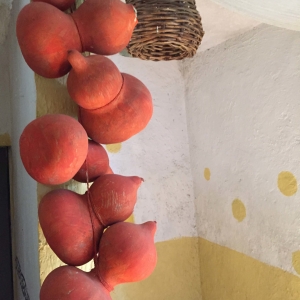  - zapopan,tlajomulco