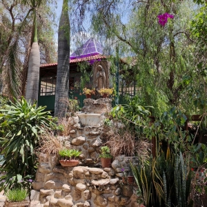  - corazon, combatir conductas autodestructivas