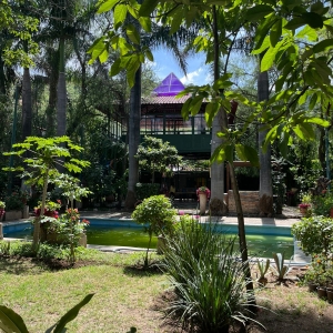  - jaguar, salud emocional